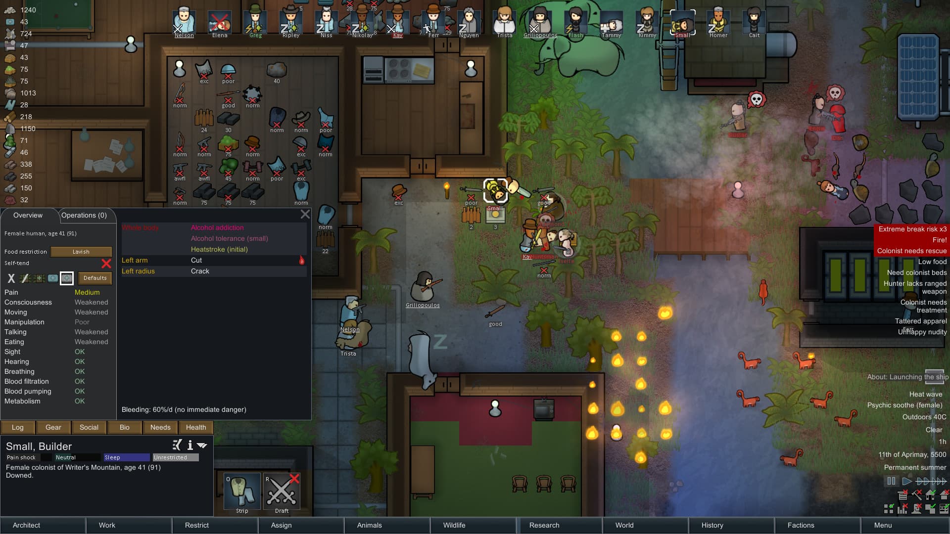 RimWorld PC Free Download