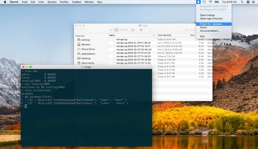 MongoDB Desktop 8.0.5-build.1