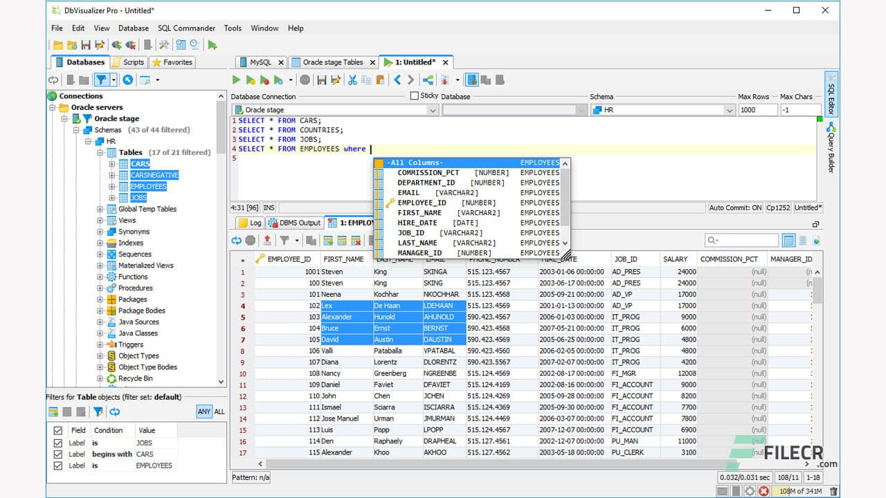 DbVisualizer Pro 25.3.2