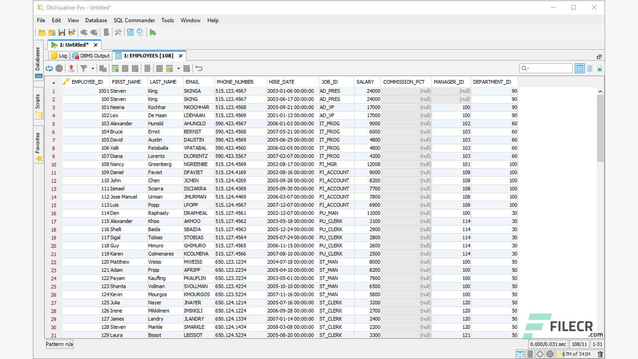 DbVisualizer Pro 25.3.2