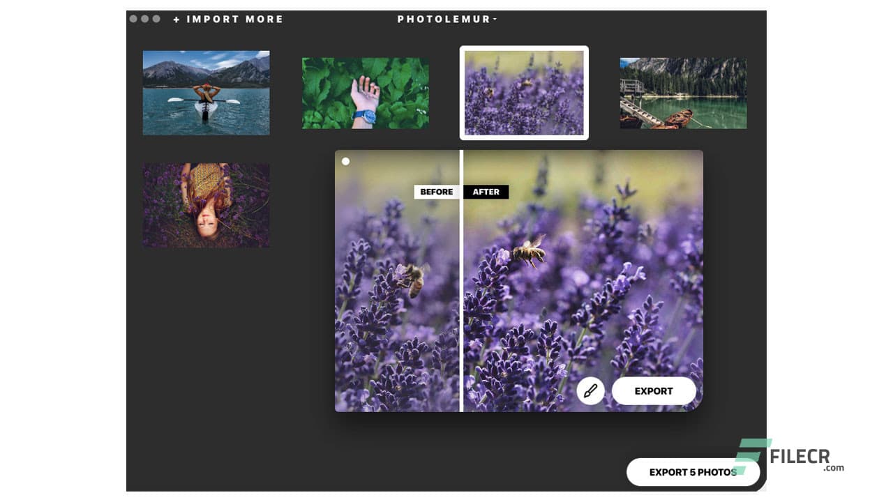 Photolemur 3 v 1.1.1 (7265)