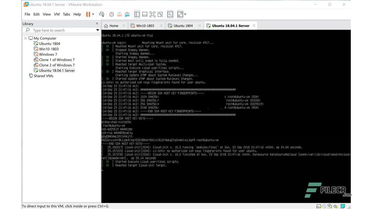 VMware Workstation Pro 17.6.2