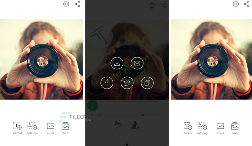 TypIt Pro – Watermark, Logo v1.31