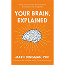 Your Brain, Explained by Marc Dingman