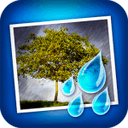 JixiPix Rainy Daze 1.23