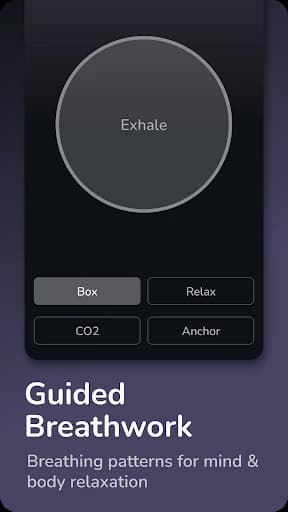 Binaural Beats Brainwaves 6.39