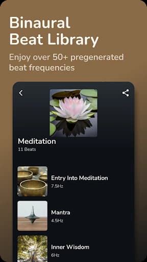 Binaural Beats Brainwaves 6.39