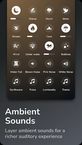 Binaural Beats Brainwaves 6.39