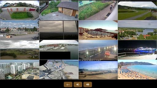 IP Camera ONVIF RTSP Viewer 2.42