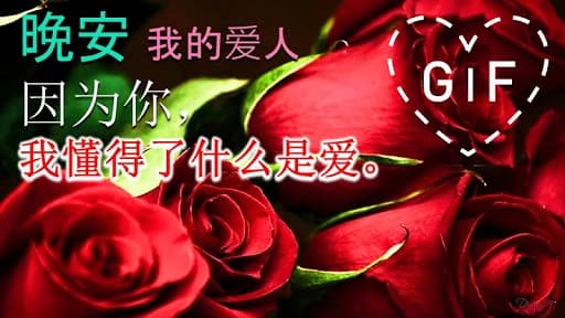 Good Night Gifs in Chinese 2.9.3