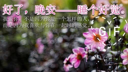 Good Night Gifs in Chinese 2.9.3