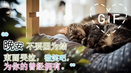 Good Night Gifs in Chinese 2.9.3