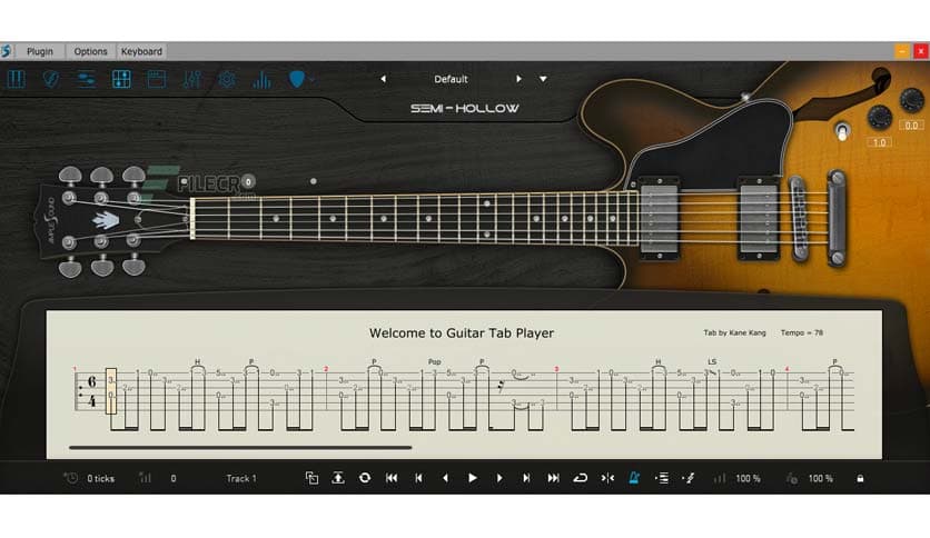 Ample Sound Ample Guitar Semi Hollow 3.2.0