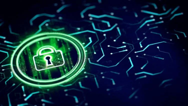 Udemy-Vulnerability Management